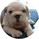 Ongri Chua Ongri Chua